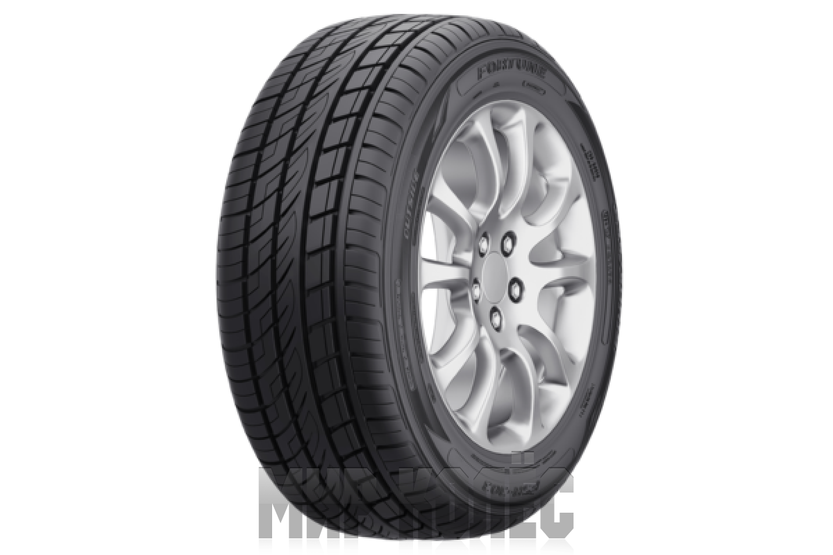 Fortune 285/40R22 110Y XL FSR-303